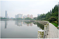 ������԰