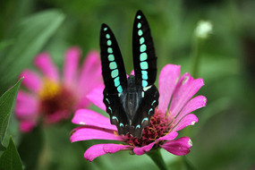 �ۻ��ϵĺ���