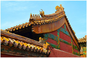 �ʹ�����������