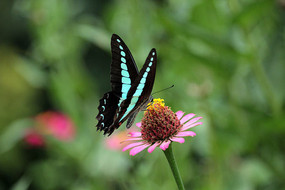 ���ϵĺ���