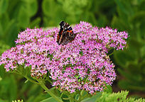 �������߾��������ĺ���