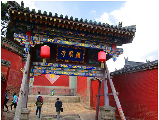 ɽ���޲T��