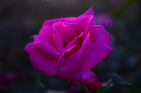 �¼�����������ͼƬ