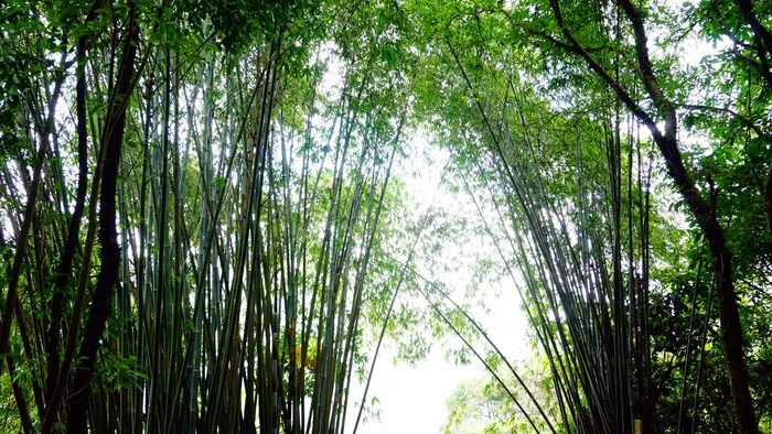 ���Ӵ���