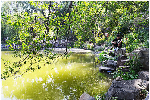 �����԰��ˮ