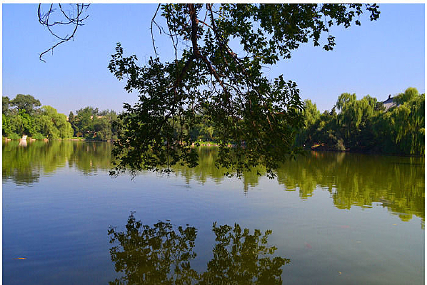 ������ѧ���ĺ�