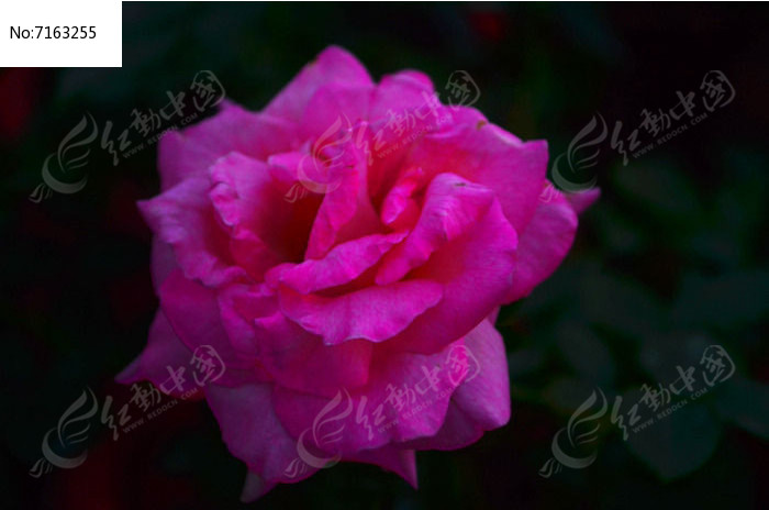 ���õ��ʻ���д�¼���ͼƬ