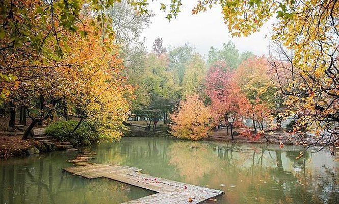 �����ߵĺ��Ҷ