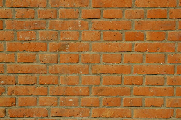 ��שǽ������