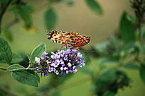 ���ϵĺ���