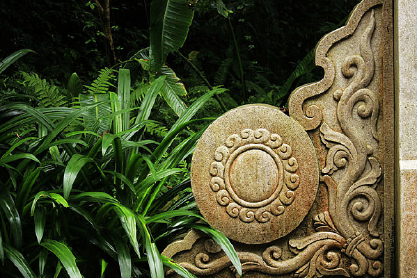 �ǻ�����