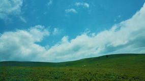 ������Ʋ�ԭ