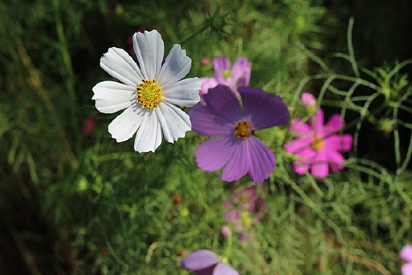 ��ͬ����