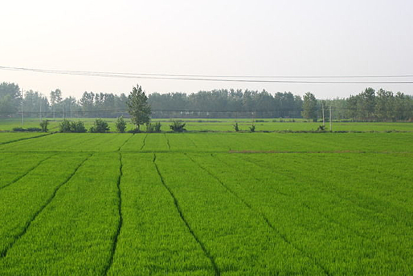 �����͵���