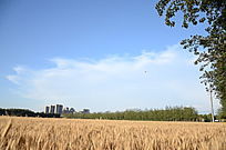 С������