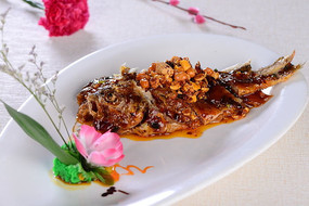 �˶�����