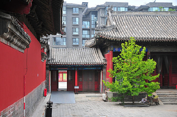 �����������ھ�