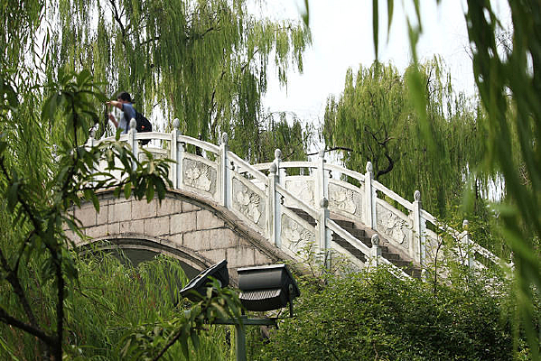 ����С��