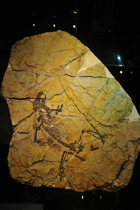 ½�����޻�ʯ