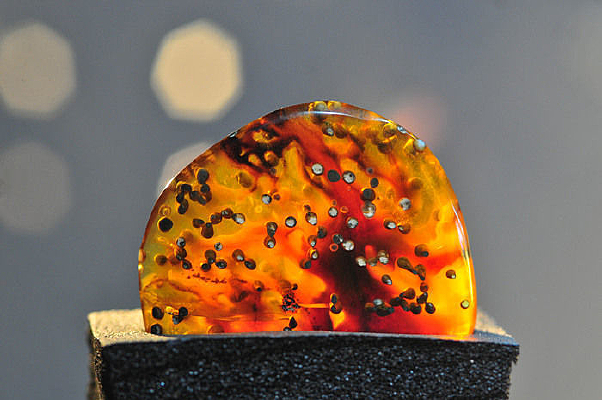 ���������ڼ�