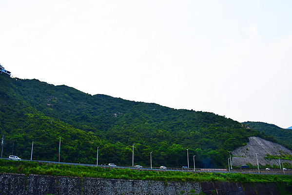 ɽ��ɭ�ּ�Ĺ�·