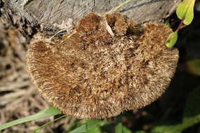 �����������ľ���