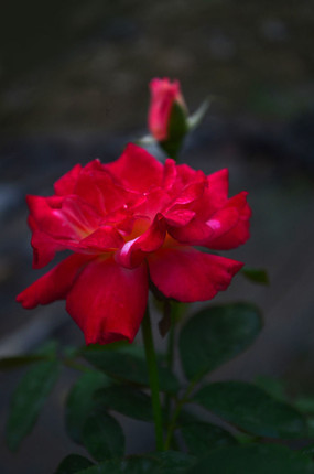 ��õ���ʻ�������д����