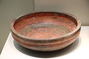 �����ղ�