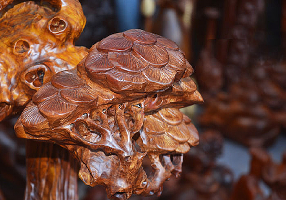 ����Ҷľ��