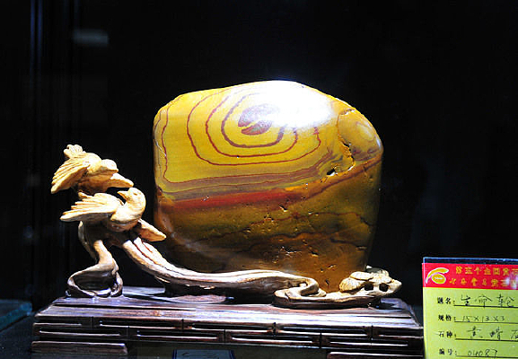 ����֮��