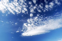 �̿�����