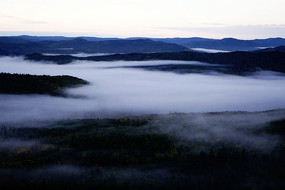 ���˰����ֺ�����