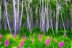 ���Ի����������֡�