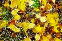 ���Ի�����Ҷ��