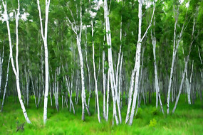 ���Ի������ִ��硷