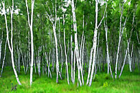 ���Ի������ִ��硷