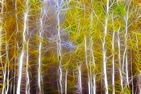 ���Ի���������ɫ��