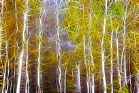 ���Ի���������ɫ��