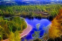 ���Ի���ɭ����ӡ�