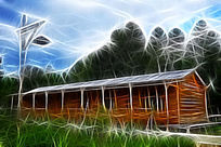 ���Ի���ɭ���˼ҡ�