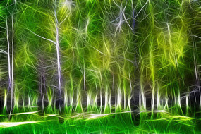 ���Ի����������֡�