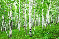 ����ˮ�ʻ��������־��ۡ�