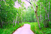 ����ˮ�ʻ���������С����