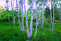 ����ˮ�ʻ�����������