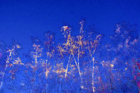 ����ˮ�ʻ���������ڡ��