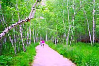 ����ˮ�ʻ�������С·��