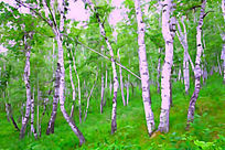 ����ˮ�ʻ�������ӡ��