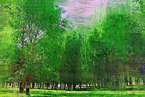 �����ͻ��������֡�