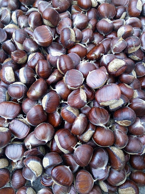 ���յİ���