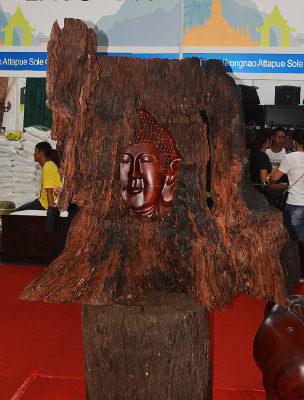 ��������ľ��